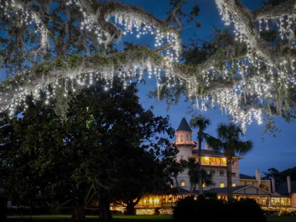 Twinkle lights in trees